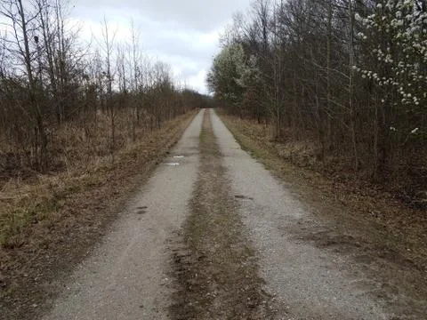 Dirt path or trail and brown grass and trees Stock Photos