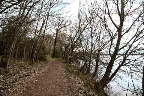 Dirt path by the shore of a lake bordered by bare trees in a park in the ital Stock Photos