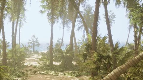 A dirt path surrounded by palm trees on a beach Stock Illustration