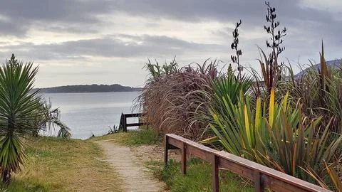 Dirt path surrounded by plants towards mansa beach, punta del este, uruguay Stock Photos