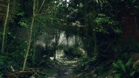 Dirt Path Through Dense Forest. mountain path イラスト素材