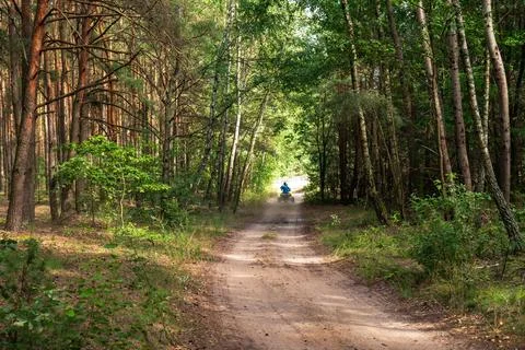 Dirt Path Through Forest with ATV Rider Near Nowy Lubiel, Poland Stock Photos