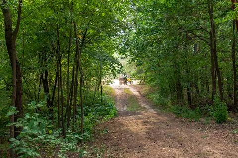 Dirt Path Through Forest Leading to Tractor in Nowy Lubiel, Poland Stock Photos