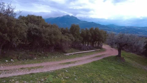 Dirt Path Through Forest with Mountain and Cloudy Sky Above Stock Footage 303564703