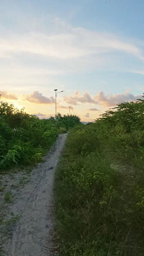 Dirt Path Through Greenery Under Sky Stock Footage 333225773