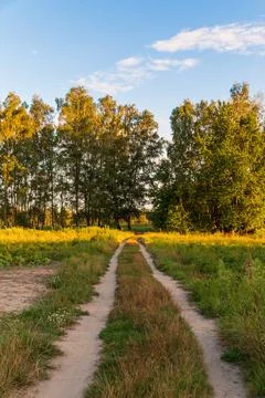 Dirt path through lush green field and forest in sunny countryside Stock Photos