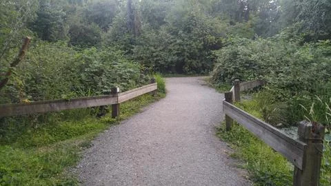 Dirt Path through Trees at Park Stock Photos