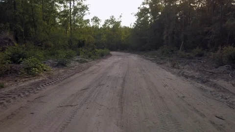 Dirt path through the woods low flying Stock Footage 111651768
