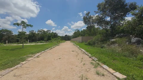 Dirt path with trees in landscaped development Stock Footage 318640218