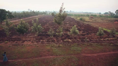 Dirt path Uganda Vídeos de archivo 50231661