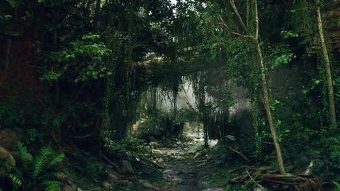 Dirt Path Winding Through Dense Forest. mountain path Stock Illustration