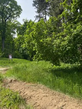 Dirt path winding through green grass near trees on Frushka Gora in Serbia Stock Photos