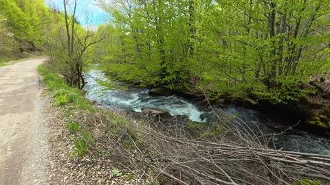 Dirt path winds beside rushing stream. Near Tupavica Waterfall, Serbia Vídeos de archivo 335532200