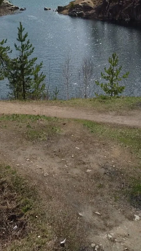 Dirt path winds near tranquil lake bordered by pines Video stock 347499281