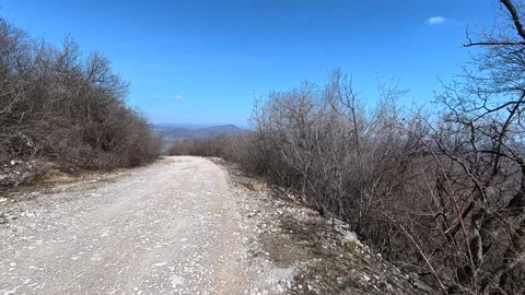 Dirt path winds through barren trees. Balkan, Eastern Europe, POV Video stock 331453035