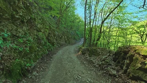 Dirt path winds through dense green forest. Balkan, Eastern Europe, POV Video stock 333349412