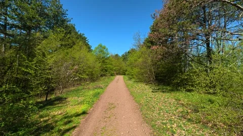 Dirt path winds through dense green forest. Ovcar Kalbar Gorge, Serbia Видео 333842277