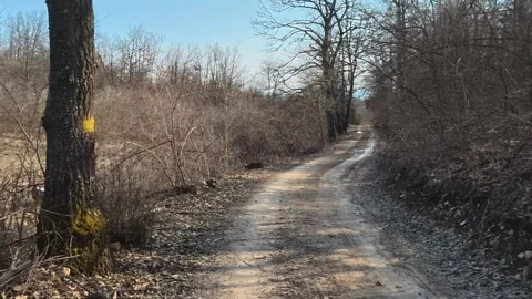 Dirt path winds through dry woodland. Mount Rtanj Area, Serbia Vidéo 331281428