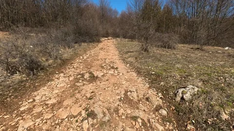 Dirt path winds through dry brush and bare trees. Balkan, Eastern Europe, POV Vídeos de archivo 331780757