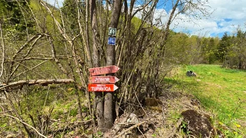 Dirt path winds through early spring forest. Tupavica Waterfall, trail marker. Stock Footage 335532400