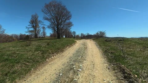 Dirt path winds through green grass and trees. Balkan, Eastern Europe, POV Video stock 333443233