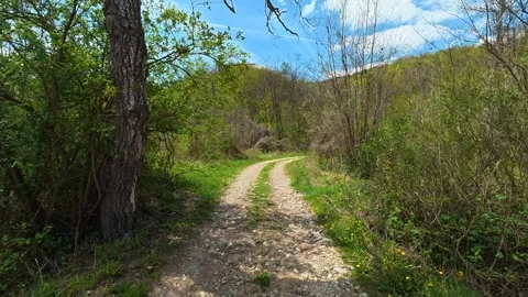 Dirt path winds through green bushes and trees. Balkan, Eastern Europe, POV Vídeos de archivo 333588574
