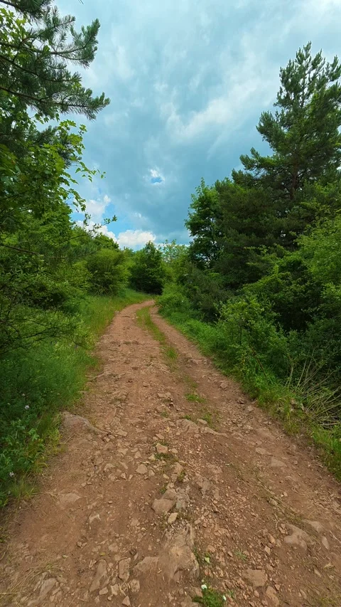 Dirt path winds through green forest. Kozji Kamen area, Vertical 스톡 동영상 341880831