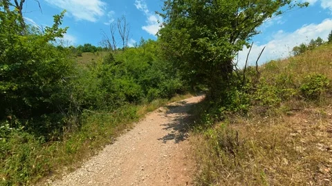 Dirt path winds through green trees and grass. Gradasnica River Canyon, Serbia Vídeo Stock 341961766