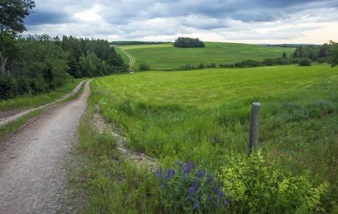 Dirt path winds through a green field Stock Photos