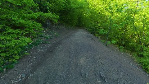 Dirt path winds through lush green forest. Ovcar Kalbar Gorge, Serbia 스톡 동영상 333844411