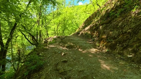 Dirt path winds through lush green forest. Gradac River, Serbia Vídeos de archivo 335075839