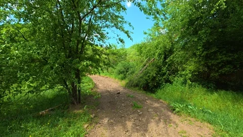 Dirt path winds through lush green fields. Balkans, Serbia. Stock-Footage 336894397