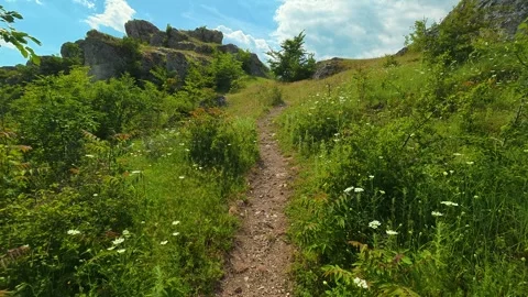 Dirt path winds through lush greenery. Vrmdza Fortress. Serbia Vídeos de archivo 338021122