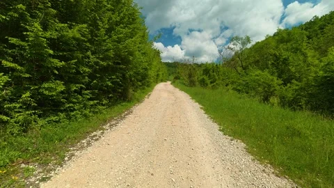 Dirt path winds through lush green forest. Vrmdza Lake hike. Serbia Vídeos de archivo 338023474