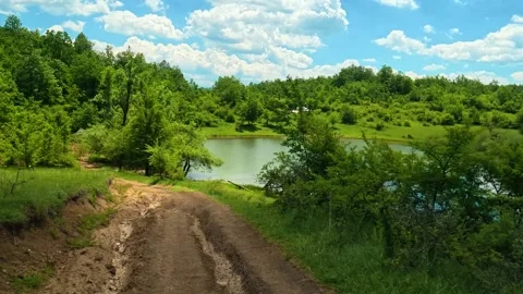 Dirt path winds through lush green forest. Vrmdza Lake, Serbia Stock Footage 338024798