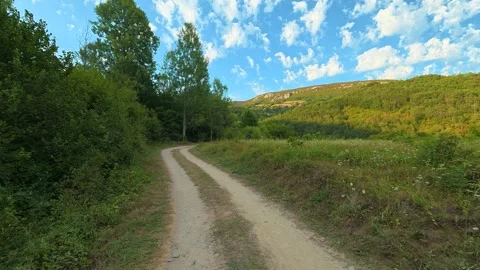 Dirt path winds through lush green woods. Bigar Waterfall area, Serbia 動画素材 346249984