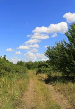 Dirt path winds through lush green vegetation under a bright blue sky with .. Stock Photos