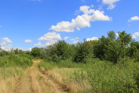 Dirt path winds through lush green vegetation under a bright blue sky with .. Stock Photos