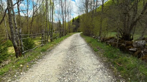 Dirt path winds through quiet forest. Near Tupavica Waterfall, Serbia Stock-Footage 335531902