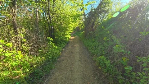 Dirt path winds through thick green foliage. Ovcar Kalbar Gorge, Serbia Видео 333844340