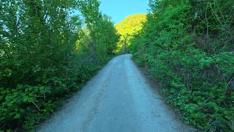 Dirt path winds through vibrant green foliage. Balkan, Eastern Europe, POV Video stock 333350254