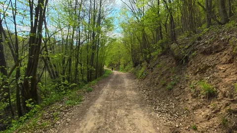 Dirt path winds through vibrant green forest. Balkan, Eastern Europe, POV Vídeos de archivo 333588604