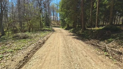 Dirt path winds through young forest. Balkan, Eastern Europe, POV Video stock 333439615
