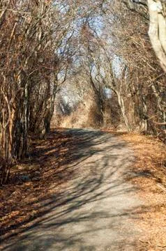 Dirt path in winter Stock Photos
