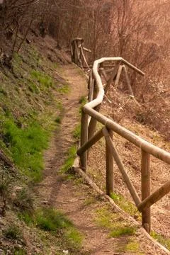 Dirt path in the woods Stock Photos