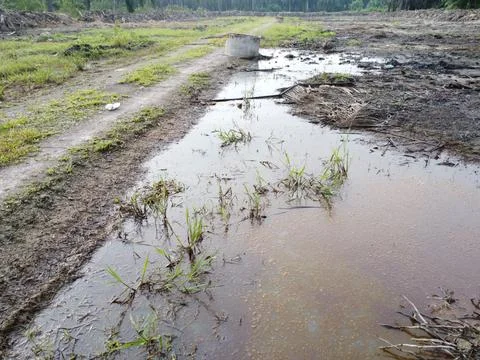 Dirt pathway Foto stock