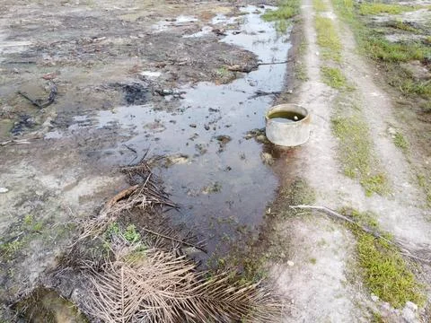 Dirt pathway Foto stock