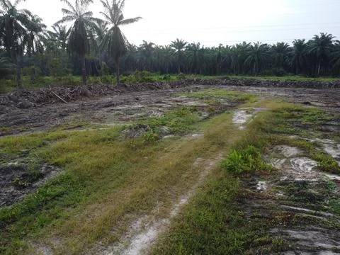 Dirt pathway Foto stock