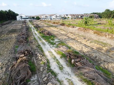 Dirt pathway Foto stock