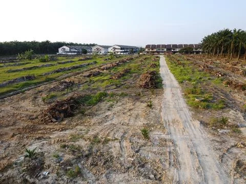Dirt pathway Foto stock